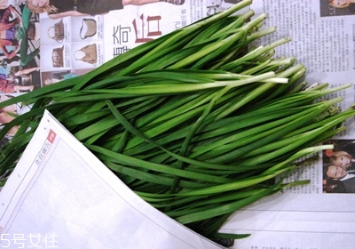 韭菜怎么保存與挑選 韭菜怎么保存與挑選