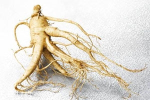 花旗參是熱性還是涼性 味甘性涼 花旗參是熱性還是涼性 味甘性涼