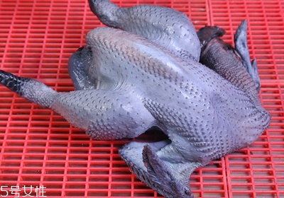 雞肉怎么挑選 雞肉的選購技巧 雞肉怎么挑選 雞肉的選購技巧