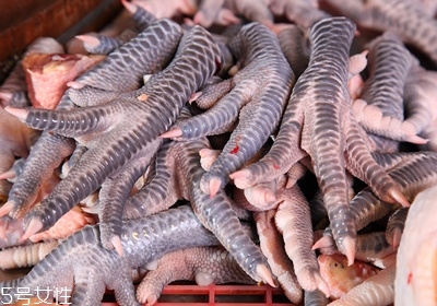 雞肉怎么挑選 雞肉的選購技巧 雞肉怎么挑選 雞肉的選購技巧