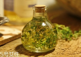 西餐常用香草有哪些 西餐用的香草介紹 西餐常用香草有哪些 西餐用的香草介紹