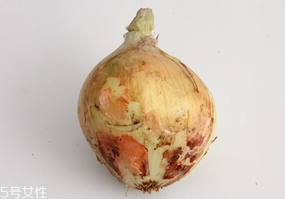 洋蔥怎么處理 洋蔥的處理技巧 洋蔥怎么處理 洋蔥的處理技巧