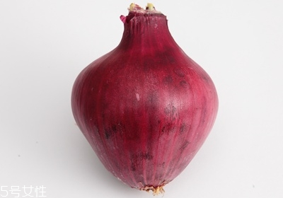 洋蔥怎么處理 洋蔥的處理技巧 洋蔥怎么處理 洋蔥的處理技巧