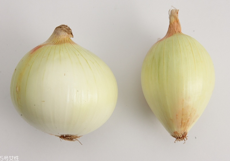 洋蔥怎么處理 洋蔥的處理技巧 洋蔥怎么處理 洋蔥的處理技巧