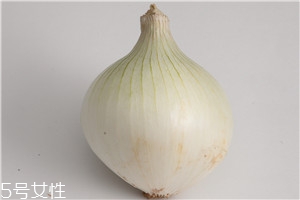 洋蔥怎么處理 洋蔥的處理技巧 洋蔥怎么處理 洋蔥的處理技巧