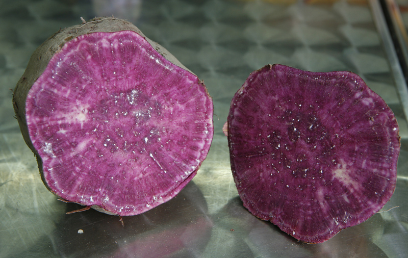 發(fā)芽的紅薯能吃嗎 紅薯發(fā)芽能吃嗎 發(fā)芽的紅薯能吃嗎 紅薯發(fā)芽能吃嗎