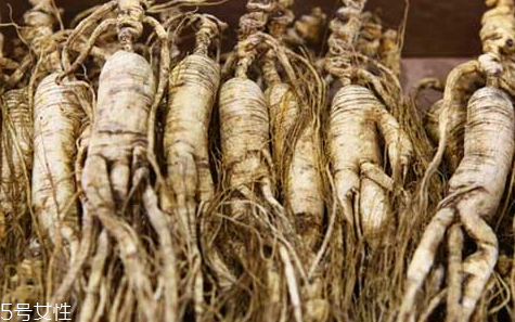 黨參可以放冰箱嗎 以免受潮 黨參可以放冰箱嗎 以免受潮