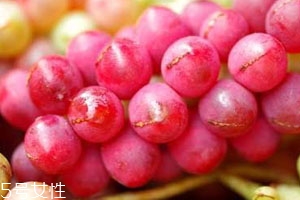 五味子多少錢一斤 60到70元左右一斤 五味子多少錢一斤 60到70元左右一斤