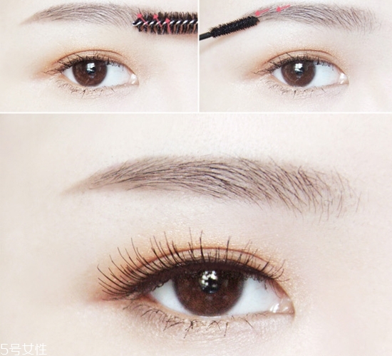 新手怎樣畫眉毛自然又好看 五種實(shí)用眉毛畫法 新手怎樣畫眉毛自然又好看 五種實(shí)用眉毛畫法