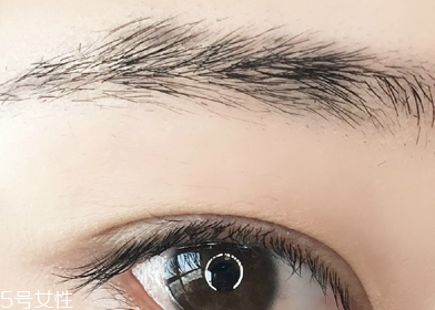 適合學(xué)生黨的自然眉筆推薦 新手修眉畫(huà)眉教程 適合學(xué)生黨的自然眉筆推薦 新手修眉畫(huà)眉教程