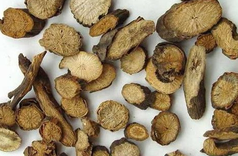 白術可以泡酒嗎 泡酒方法 白術可以泡酒嗎 泡酒方法