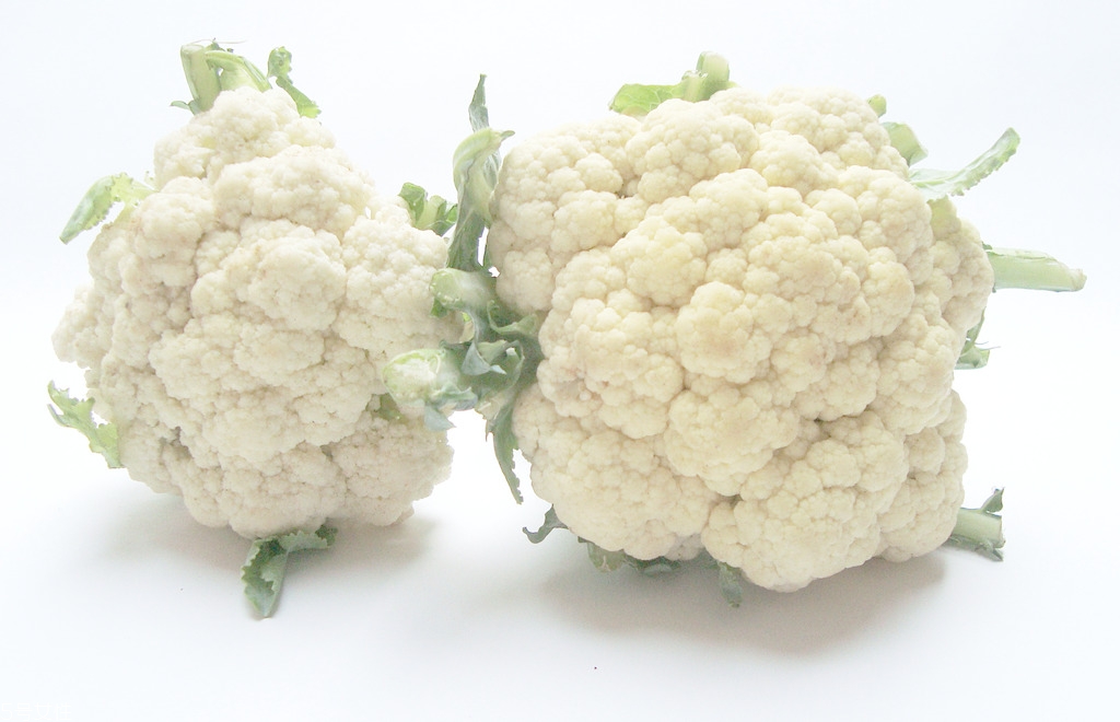 花椰菜怎么洗與保存 花椰菜怎么洗與保存