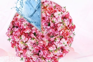 florihana中文叫什么？哪國的品牌