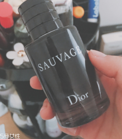 迪奧曠野和桀驁哪個(gè)好？曠野香水適合暖男