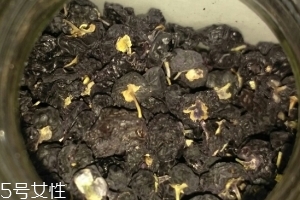 黑枸杞還還是紅枸杞好？各有千秋