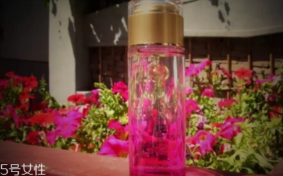 苦水玫瑰多少錢(qián)一斤？