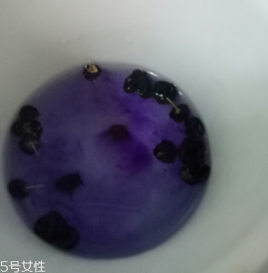 黑枸杞能減肥嗎?效果不是很明顯 黑枸杞能減肥嗎?效果不是很明顯