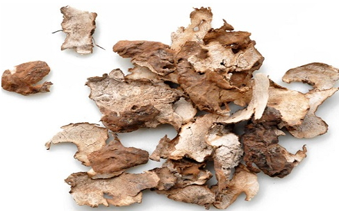 茯苓什么時(shí)候吃好 一年四季均可服用 茯苓什么時(shí)候吃好 一年四季均可服用