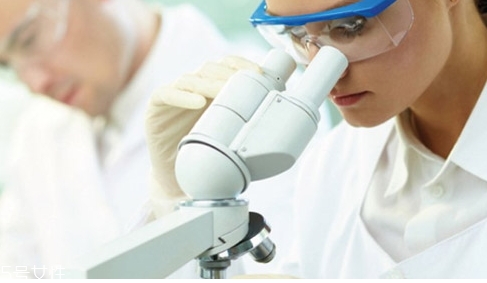 西芹籽能降尿酸嗎？