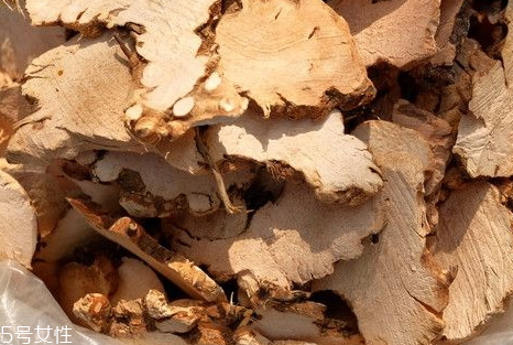 土茯苓可以泡酒嗎 一次不要喝太多 土茯苓可以泡酒嗎 一次不要喝太多