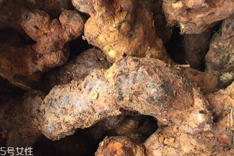 土茯苓可以治療宮頸糜爛嗎 土茯苓治子宮頸炎 土茯苓可以治療宮頸糜爛嗎 土茯苓治子宮頸炎