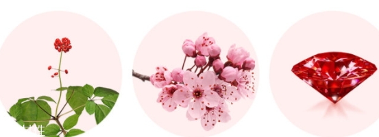 merbliss婚紗紅寶石面膜多少錢？