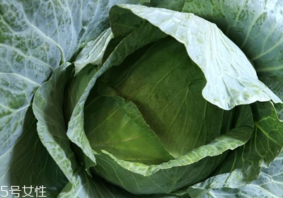 做沙拉用什么蔬菜 有什么蔬菜可以做沙拉 做沙拉用什么蔬菜 有什么蔬菜可以做沙拉