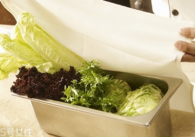 做沙拉用什么蔬菜 有什么蔬菜可以做沙拉 做沙拉用什么蔬菜 有什么蔬菜可以做沙拉