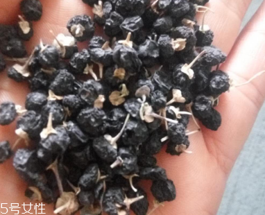 黑枸杞去濕氣嗎？沒有這個功效