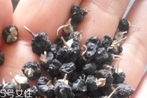 黑枸杞為什么是藍(lán)色？花青素的原因