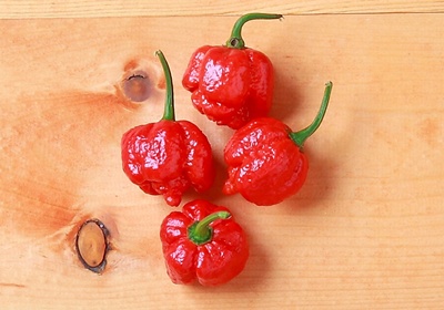 辣椒有幾種品種圖片 辣椒的種類及圖片介紹 辣椒有幾種品種圖片 辣椒的種類及圖片介紹