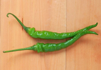 辣椒有幾種品種圖片 辣椒的種類及圖片介紹 辣椒有幾種品種圖片 辣椒的種類及圖片介紹