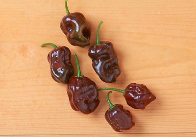 辣椒有幾種品種圖片 辣椒的種類及圖片介紹 辣椒有幾種品種圖片 辣椒的種類及圖片介紹