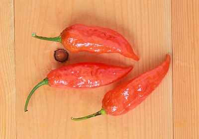 辣椒有幾種品種圖片 辣椒的種類及圖片介紹 辣椒有幾種品種圖片 辣椒的種類及圖片介紹