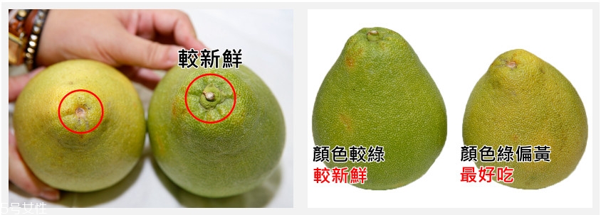 文旦柚怎么挑選 文旦柚選購(gòu)技巧 文旦柚怎么挑選 文旦柚選購(gòu)技巧