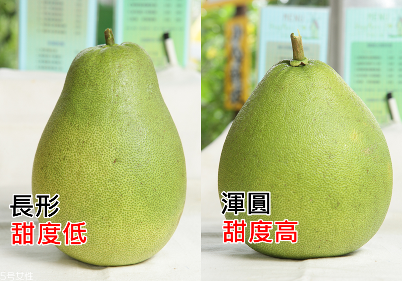 文旦柚怎么挑選 文旦柚選購(gòu)技巧 文旦柚怎么挑選 文旦柚選購(gòu)技巧