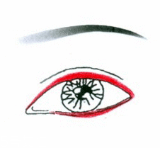 先畫眼影還是先畫眼線？先畫眼影不會讓眼線暈掉