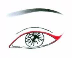 先畫眼影還是先畫眼線？先畫眼影不會讓眼線暈掉