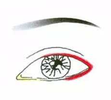 先畫眼影還是先畫眼線？先畫眼影不會讓眼線暈掉