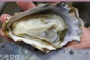 生蠔會有寄生蟲嗎？不生吃就沒關(guān)系