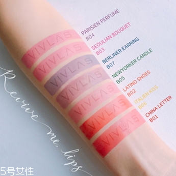 vivlas鋼筆口紅色號試色 vivlas鋼筆口紅色號試色