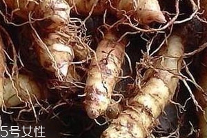 玉竹可以降血糖嗎 玉竹降血糖食譜 玉竹可以降血糖嗎 玉竹降血糖食譜