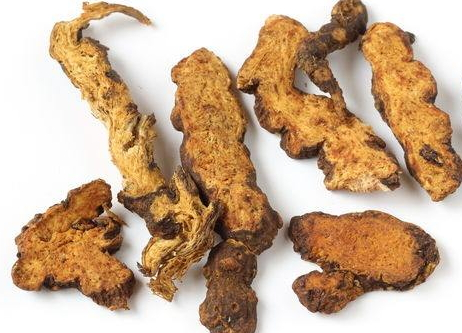 蒼術可以泡水嗎 燥濕健脾x效果好 蒼術可以泡水嗎 燥濕健脾x效果好