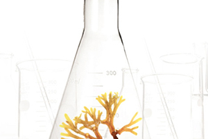 精華液可以代替乳液嗎？兩者各有分工