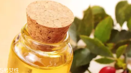 玫瑰果油和玫瑰精油怎么區(qū)分？玫瑰精油超級(jí)昂貴