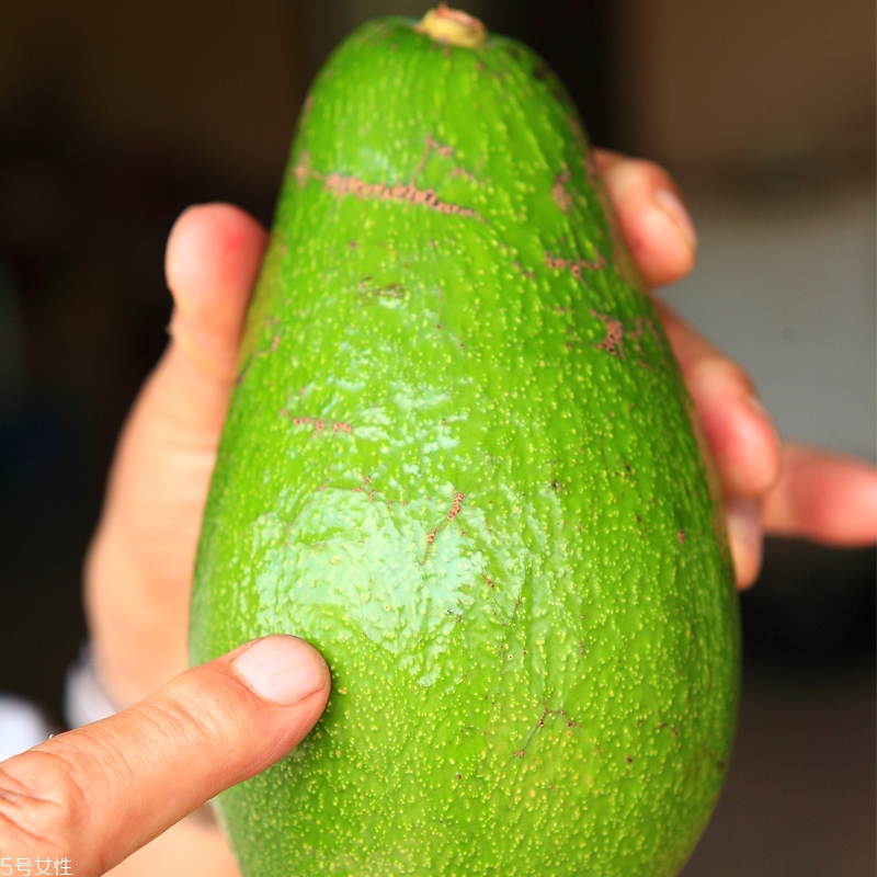 牛油果怎么挑 牛油果怎么選 牛油果怎么挑 牛油果怎么選