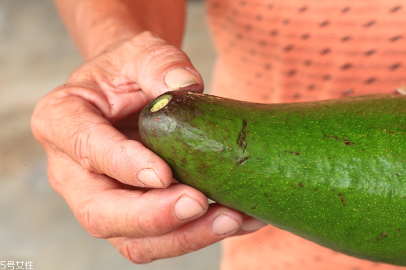 牛油果怎么挑 牛油果怎么選 牛油果怎么挑 牛油果怎么選