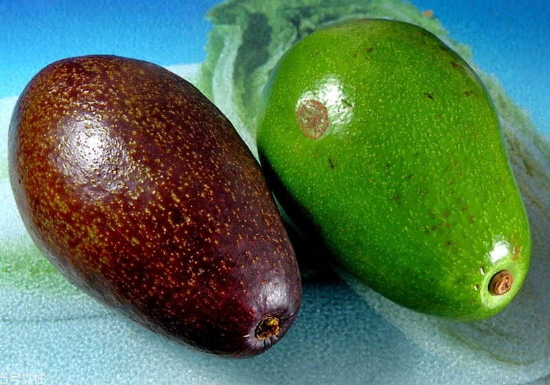 牛油果怎么挑 牛油果怎么選 牛油果怎么挑 牛油果怎么選