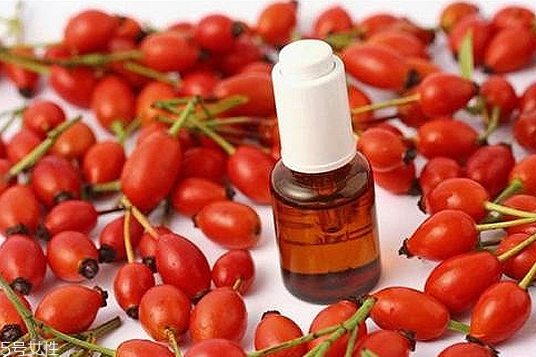 痘痘能用玫瑰果油嗎？愈合之后少量用