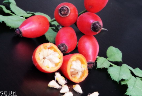 玫瑰果油開蓋之后能保存多久？半年到2年